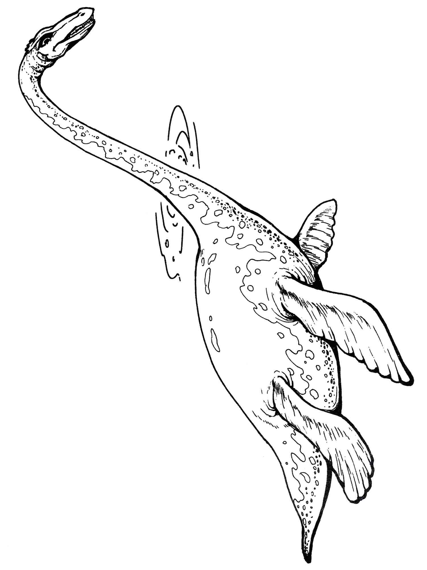 Plesiosaurus Dinosaur Coloring Page