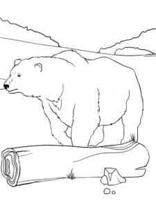 Wild Polar Bear coloring page