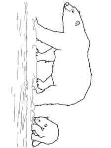 Polar Bear with Cub coloring page