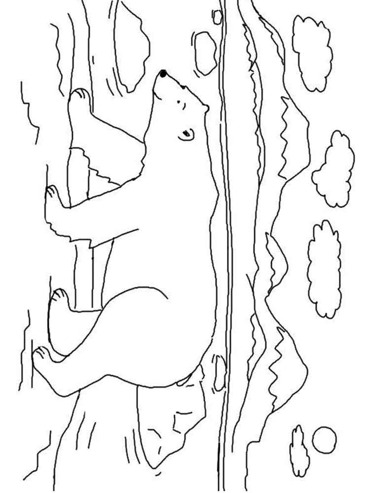 Funny Polar Bear coloring page