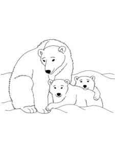 Polar Bear and Two Cubs coloring page