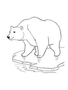 Simple Polar Bear coloring page