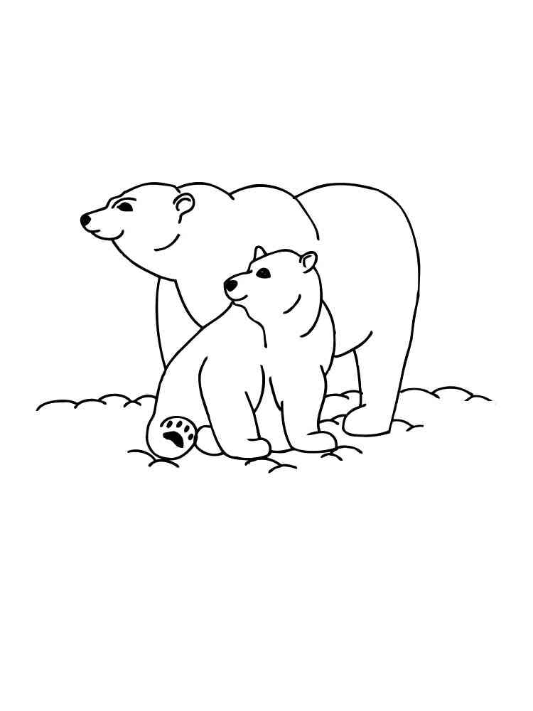 Polar Bear and Cub coloring page