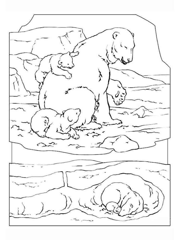 Polar Bear with Two Cubs coloring page
