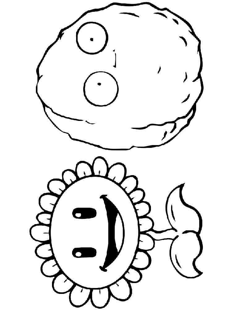 Sunflower and Wall-nut from PvZ coloring page