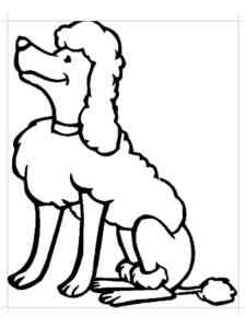Easy Poodle coloring page