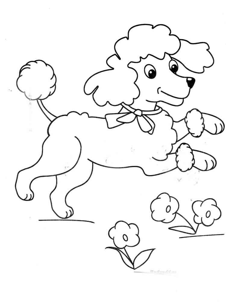 Cartoon Poodle coloring page