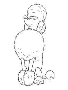 Dog Poodle coloring page