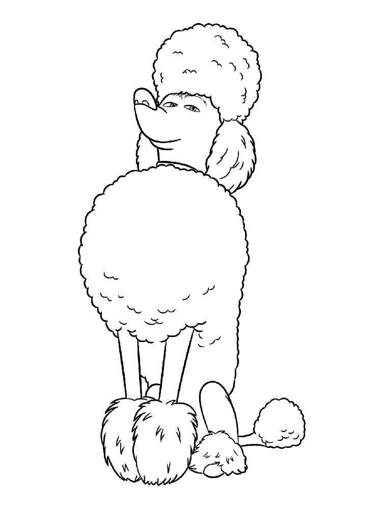 Dog Poodle coloring page
