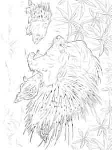 Porcupine Family coloring page