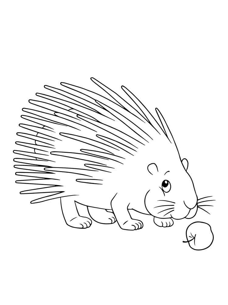 Porcupine with Apple coloring page