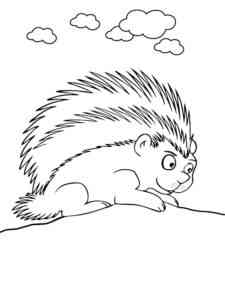 Simple Porcupine coloring page