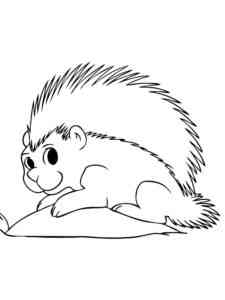 Easy Porcupine coloring page