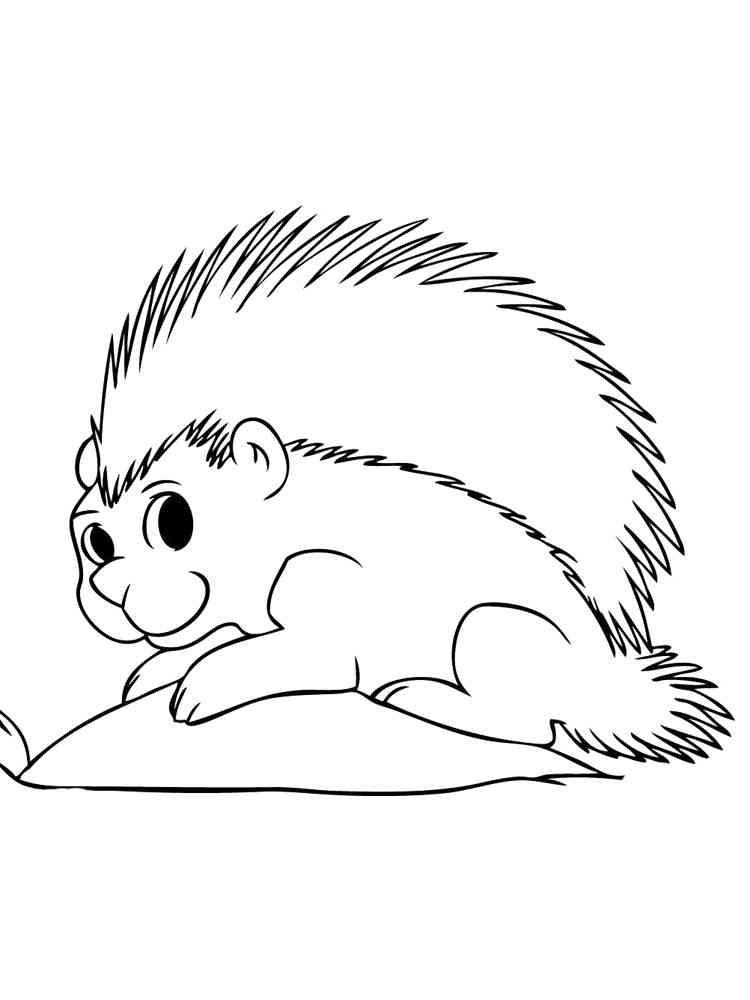Easy Porcupine coloring page