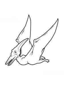 Simple Pteranodon coloring page