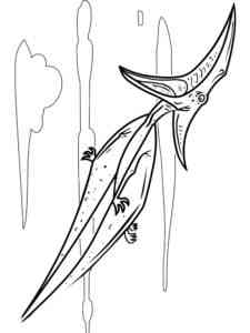 Fierce Pterodactyl coloring page