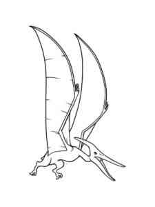 Pterodactyl Dinosaur 2 coloring page