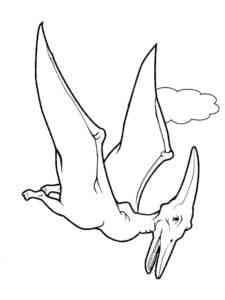 Easy Pterodactyl coloring page