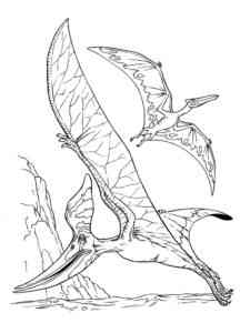Two Pterodactyls coloring page