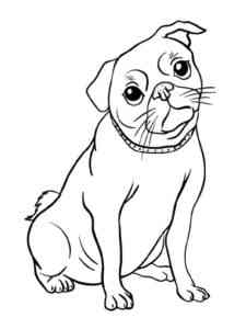 Simple Pug coloring page