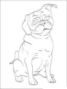 Cute Pug coloring page
