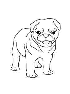 Easy Pug coloring page
