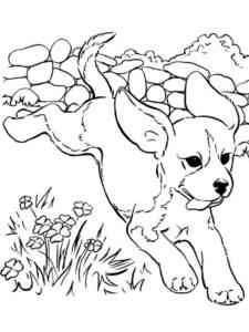 Puppy Jumping coloring page
