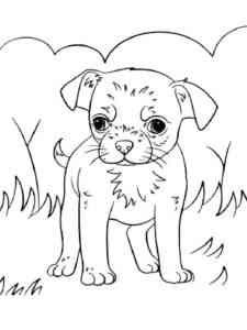 Puppy on the grass coloring page