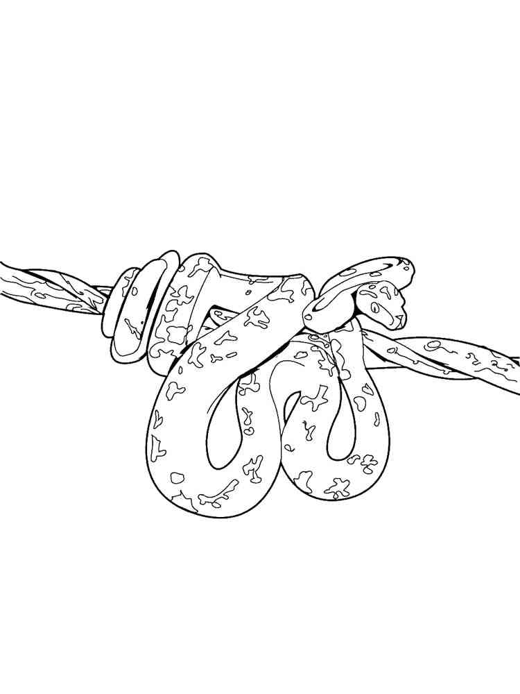 Python on a branch coloring page