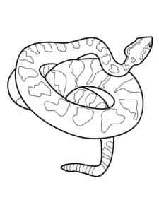 Realistic Python coloring page