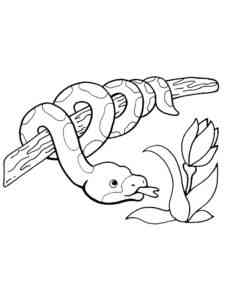 Green Tree Python coloring page