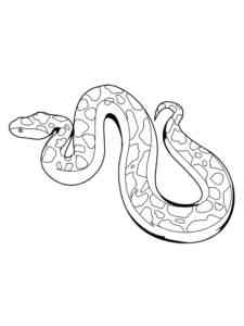 Realistic Python coloring page
