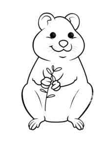 Quokka Holds Leaves coloring page