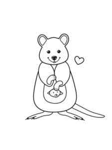 Cute Quokka coloring page