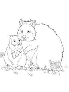 Quokka and Baby coloring page