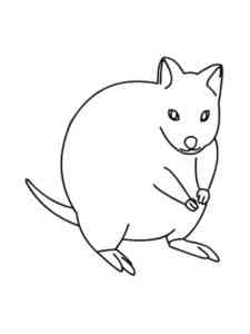 Simple Quokka coloring page