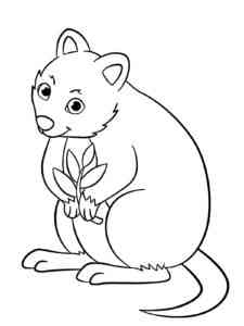 Quokka with a branch coloring page
