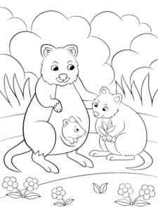Baby Quokka in the Bag coloring page