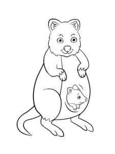 Mother and Baby Quokka coloring page