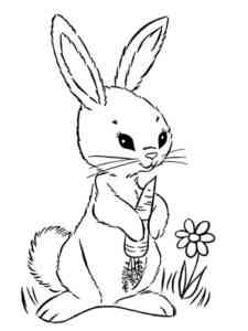 Bunny with carrots coloring page