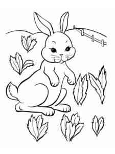 Rabbit on a bed with carrots coloring page