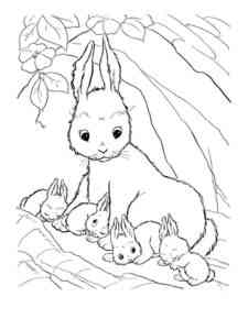 Rabbit with cubs coloring page