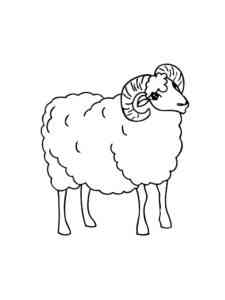 Easy Realistic Ram coloring page