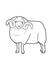 Realistic Ram coloring page
