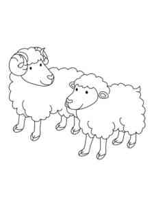 Ram and Sheep coloring page