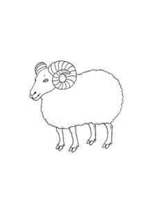 Strong Ram coloring page