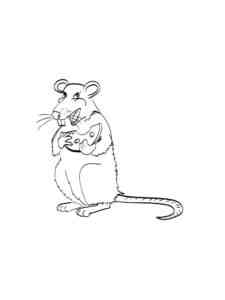 Rat and Cheese coloring page