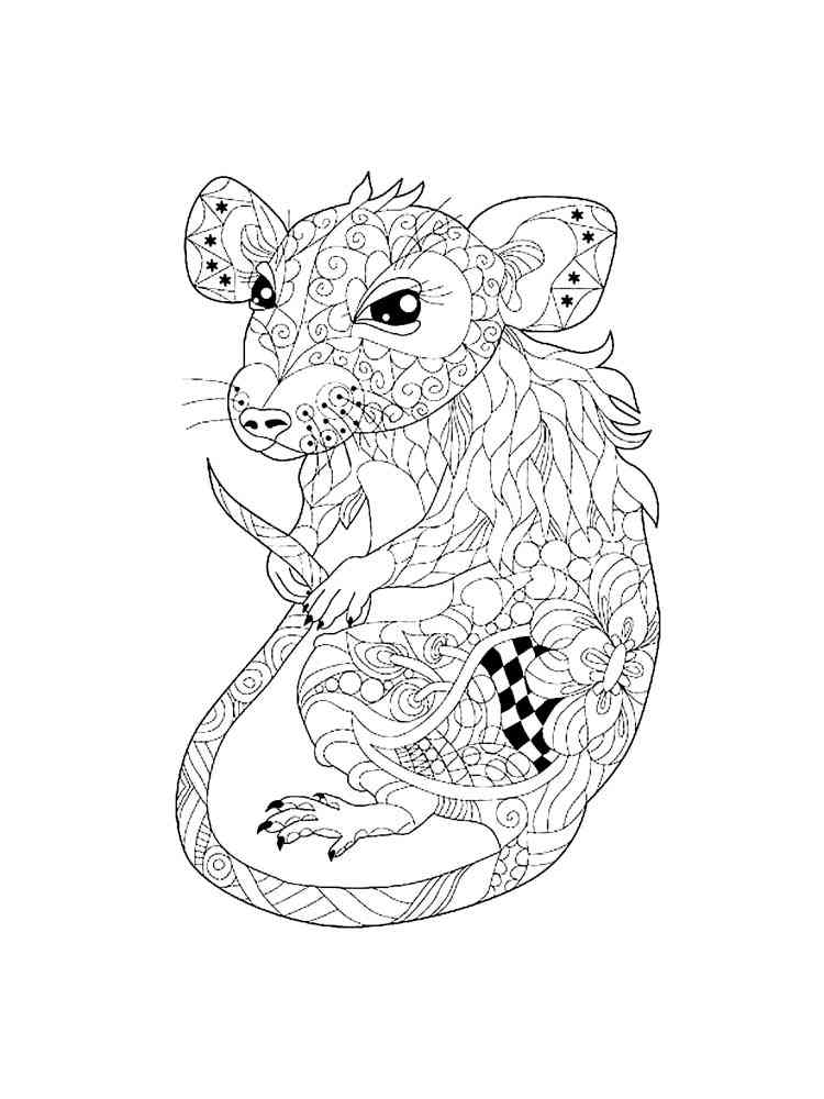 Rat coloring page for Adults