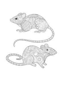 Rat Antistress coloring page