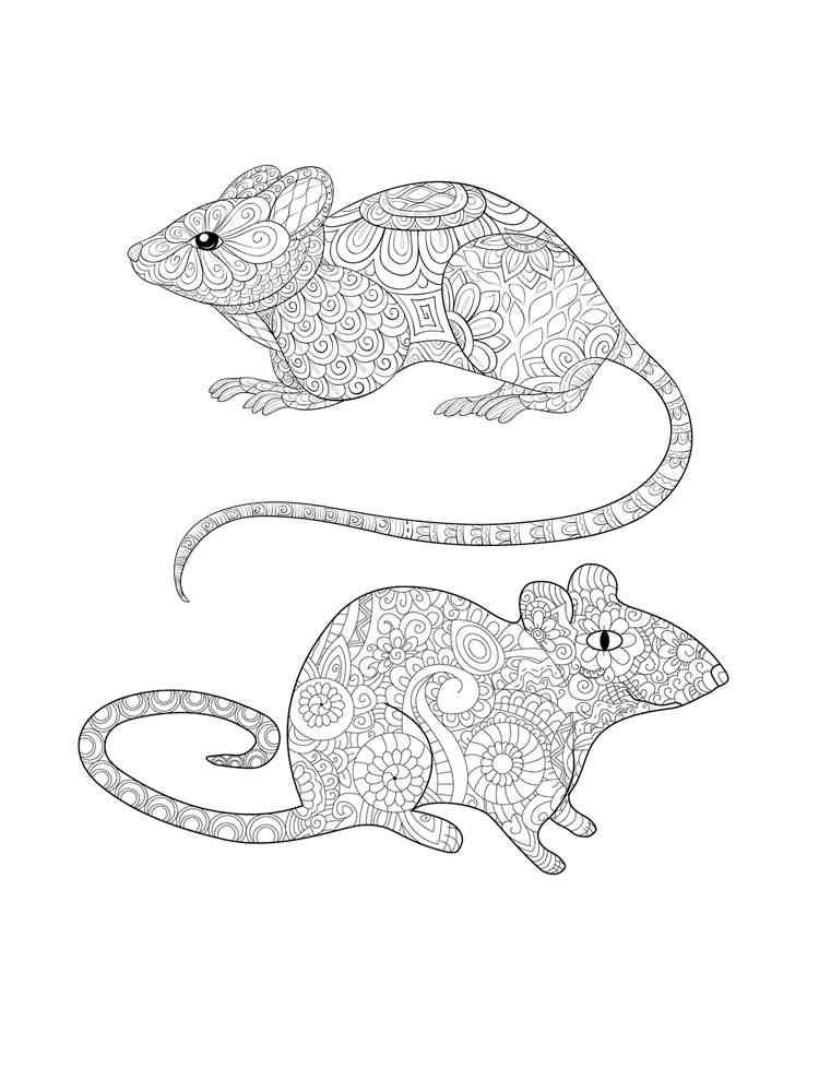 Rat Antistress coloring page